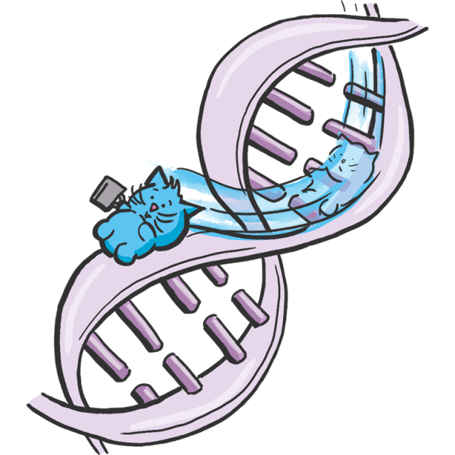 nature表情包来啦为你带来科研汪和科研喵的奇趣冒险