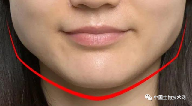 腮帮子里面暗藏玄肌看来教科书又双叒叕要被修改了