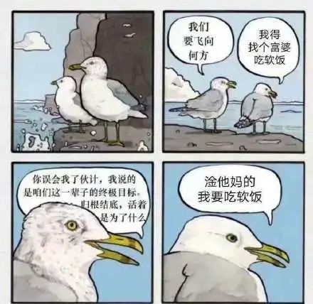 这只要去码头整点薯条的海鸥,是怎么变成表情包顶流的?