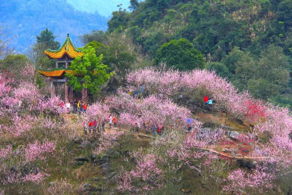 方志广东多彩清远牛迳村桃花湖中桃花源