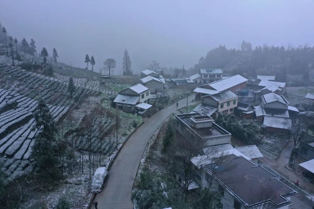 银装素裹似童话沐川五指山开启赏雪模式