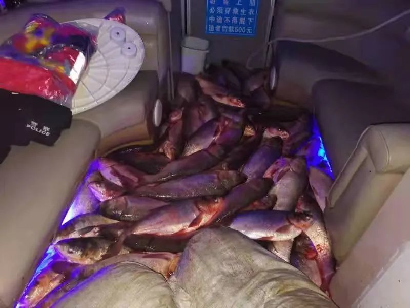 半夜,一男子竟然去乾隆湖公园偷三百多斤鱼……_腾讯新闻