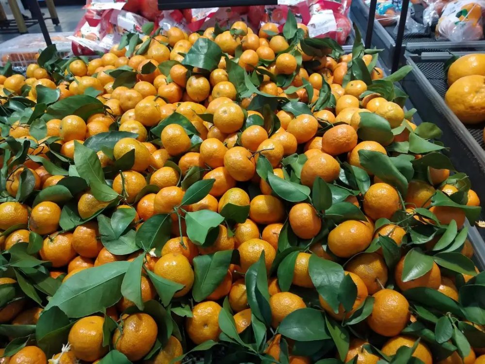 买年货不论有钱没钱这6种吉祥果要准备寓意一年交好运