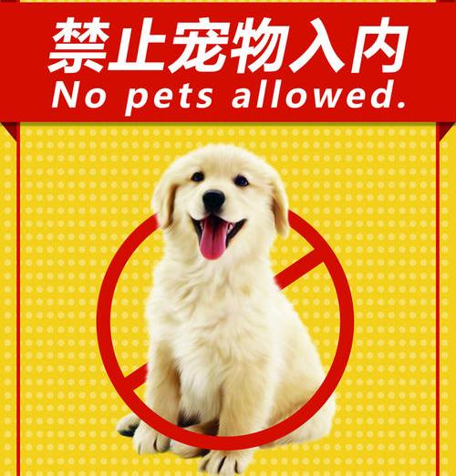 携犬(导盲犬,搜救犬等工作犬除外)乘坐公共交通工具,或者进入室内公共