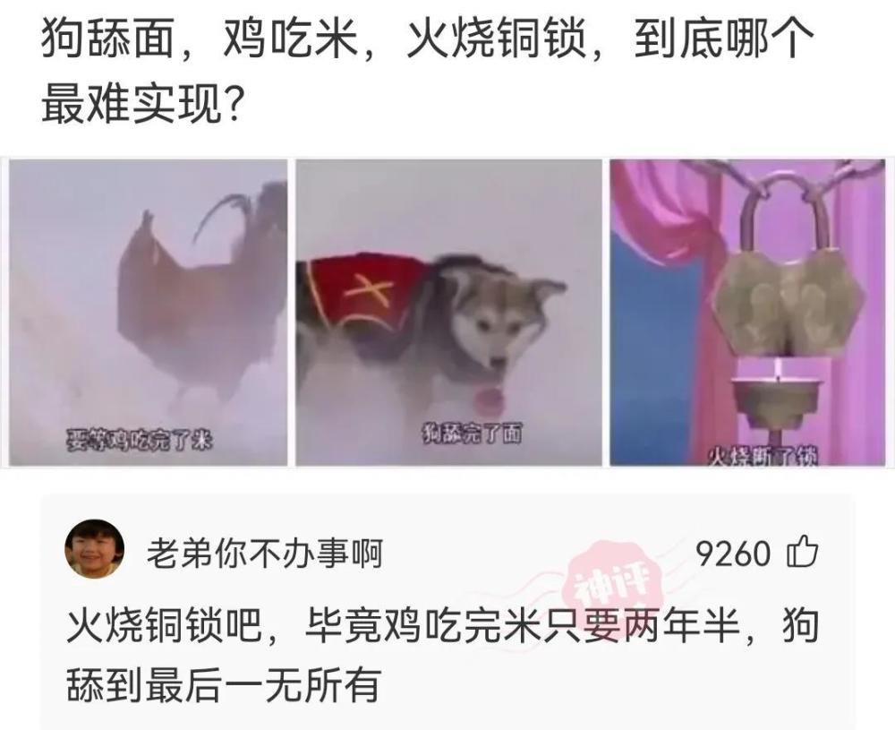 【沙雕问题2】:等狗舔完面,鸡吃完米,火烧断锁我再告诉你