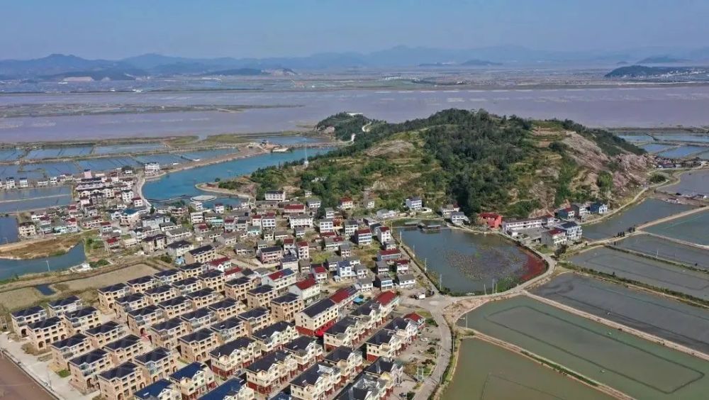 有生活三门海润街道涛头村寻觅鲜甜之旅共富台州乡见美好