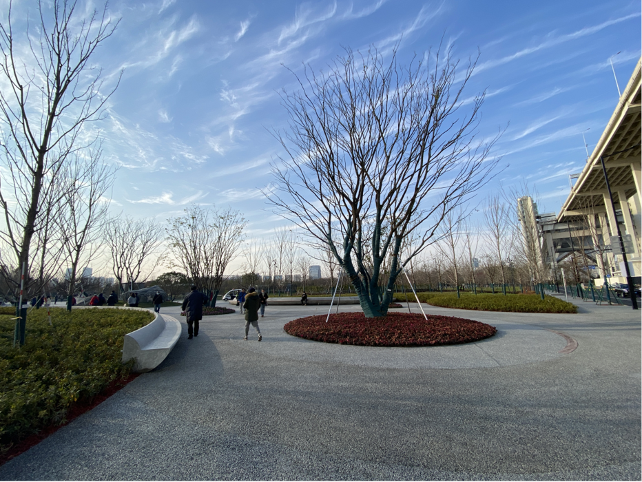 開園啦上海世博文化公園北區有哪些亮點