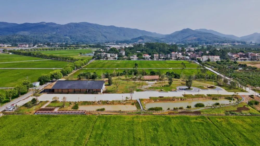 增城朱村街试点推行农村农民资源入股参与新农企经营机制_腾讯新闻