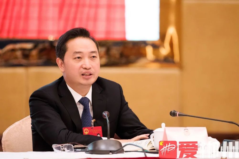 吴巨培参加政协郴州市六届一次会议第二联组讨论发挥委员作用汇聚委员