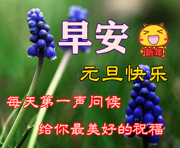 2022元旦祝福语大全简短语句2022元旦快乐祝福语图片带字精选