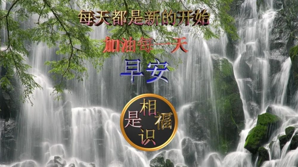 清晨早安聊天不用打字的图片