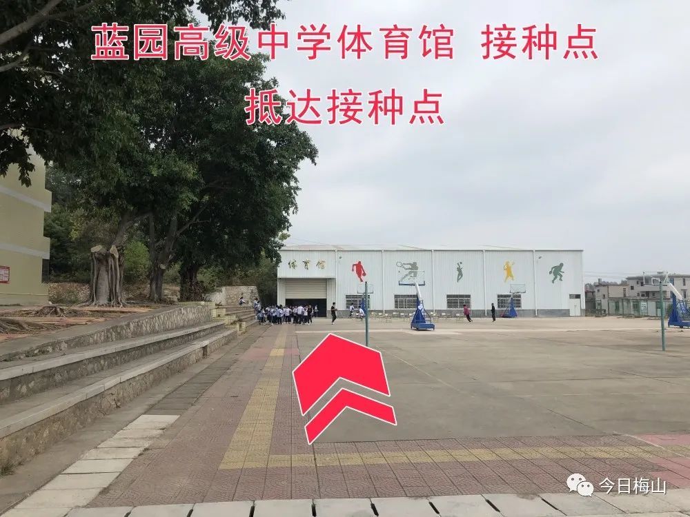 梅山镇在蓝园高级中学体育馆增设临时接种点