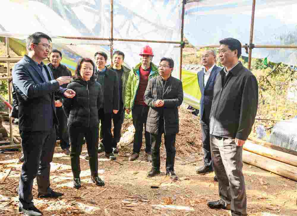 公司党组书记,总经理张力介绍:今年是巩固拓展脱贫攻坚成果,全面推进