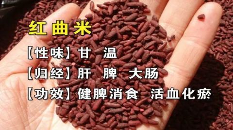 餐桌上的天然他汀煮粥泡茶放一点活血化瘀健脾消食好处多