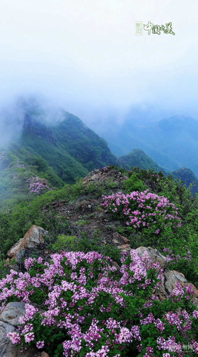 黛溪河宋橋拍攝地 臺子黃河拍攝地 和禾溼地公園拍攝地 雪花山拍攝地