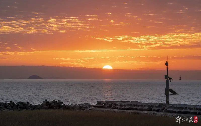 绝美上海第一缕阳光刷屏迪士尼新年烟花上热搜跨年夜的上海人有多能买