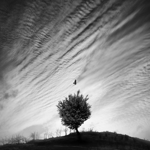 人在低谷期最怕的是什么作为亲人千万不要犯糊涂