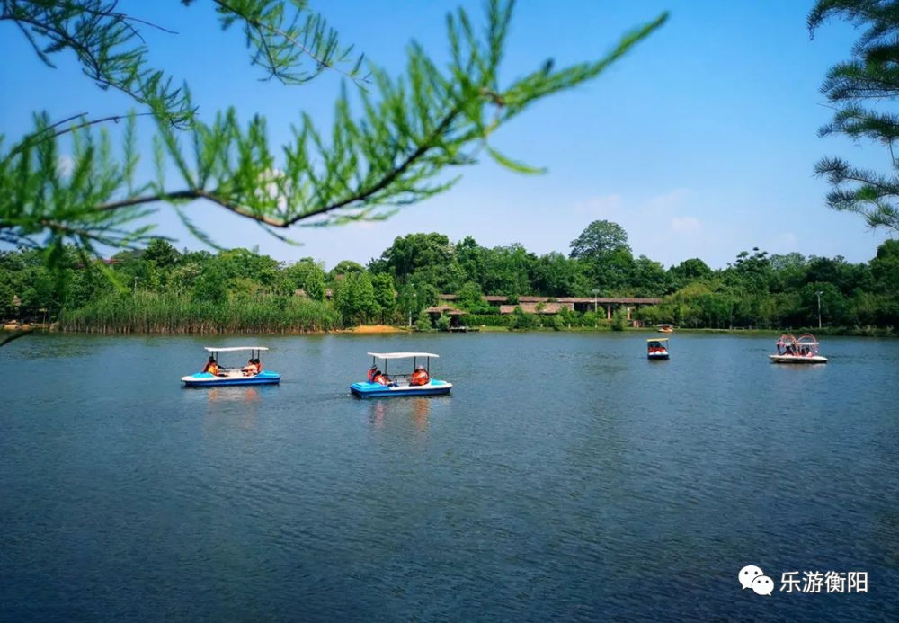 剛直塔,石鼓七拱抗戰古橋玻璃橋,四季花海等景點12御龍灣旅遊度假區御