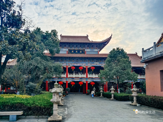 殿,钟鼓楼,流通处,天王殿,弥陀殿,药师殿,东西罗汉堂,大雄宝殿,观音殿