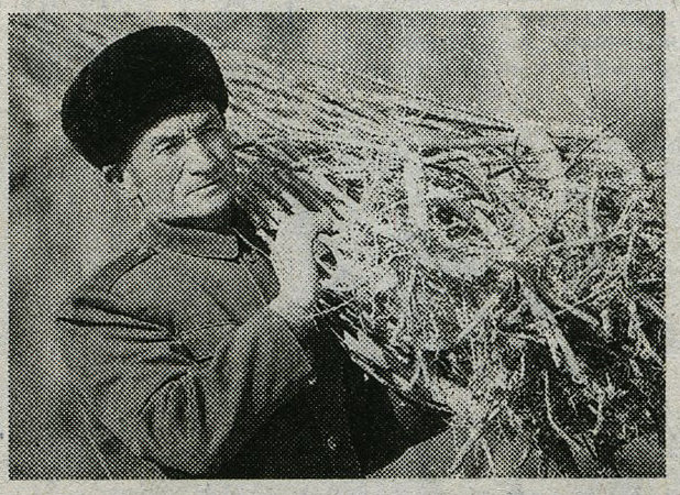 冰峰哨卡的坚强战士——买托乎提·吐尔逊