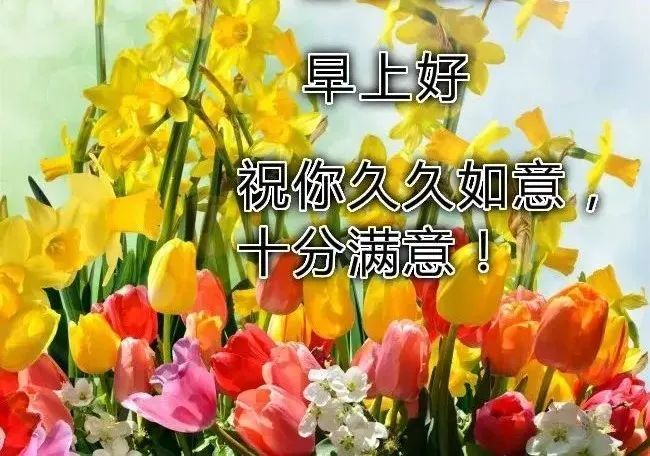 清晨最美早上好图片大全温馨暖心很漂亮的早上好图片新的一年早上好