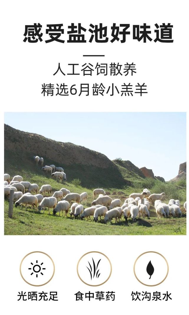 "国宴级"宁夏盐池滩羊,现宰鲜肉,软嫩带奶香!