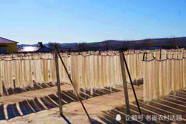 致富网小投资项目2024小型加工(致富网小投资项目2020手工制作小加工厂)