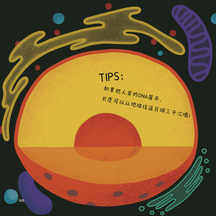 共同的单细胞祖先,科学家们将其称为"最后的全球共祖",简称"露卡"