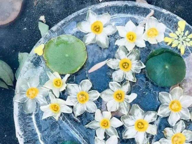 小叶子的手工课丨不想出去噶闹忙做朵冰花玩拍摄吧