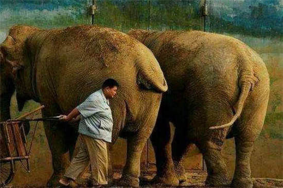 德云社后台和岳云鹏烧饼曹鹤阳合影孙越成功抢镜成瘦子背景板