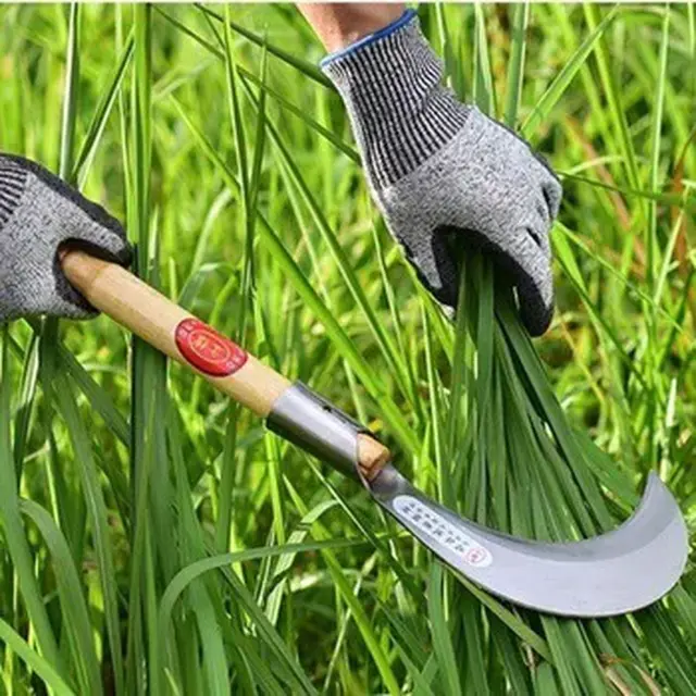 割过"韭菜"的大佬,对"韭菜"说了一些大实话,值得交易者一看!