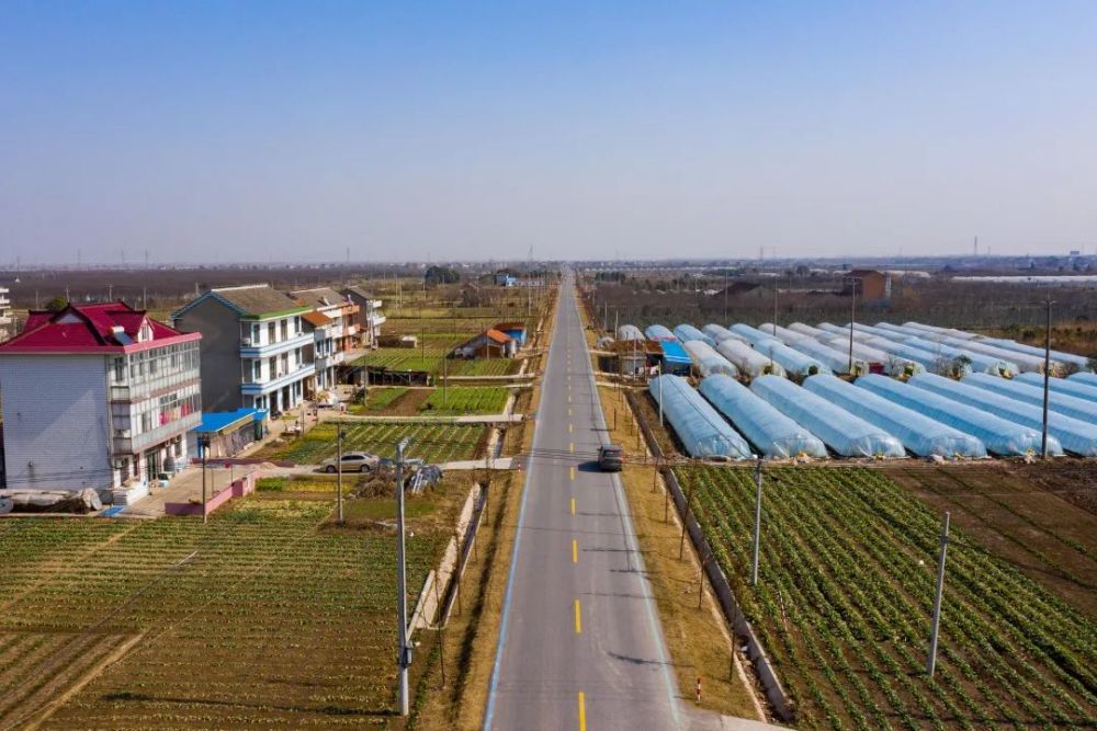 桥梁6座,引进望旺农场,都市玫瑰园,天籁村生态枇杷主题农庄等项目农业