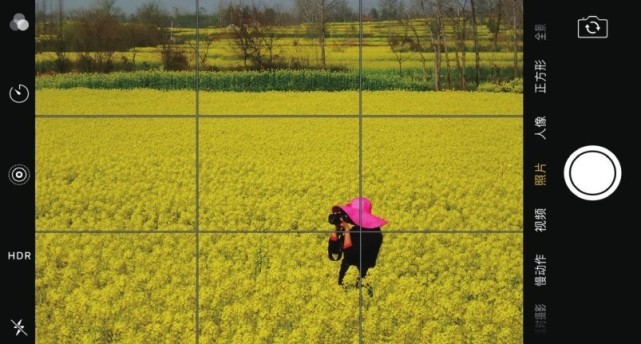 手机摄影技巧——黄金分割法构图