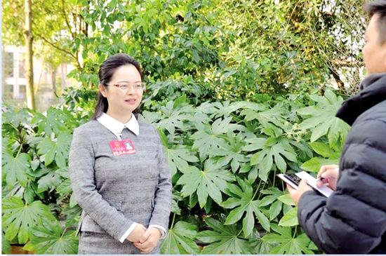 吴俞萍为率先建成世界一流旅游目的地和全面建设现代化新武陵源不懈