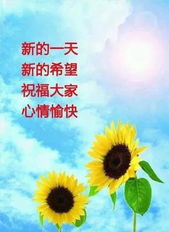 早上好問候祝福語