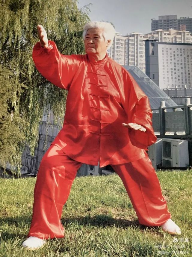 用生命播撒太极的人-扎西(太极语录)