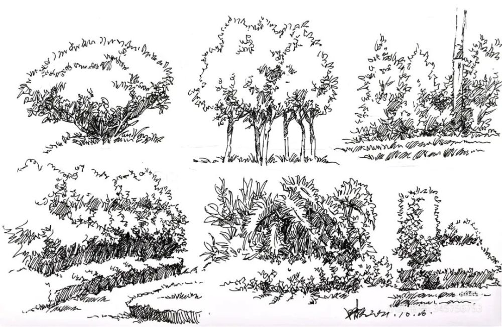 钢笔画|从简入繁,每一天都不要停下脚步 - 植物钢笔速写 - 实验室设备