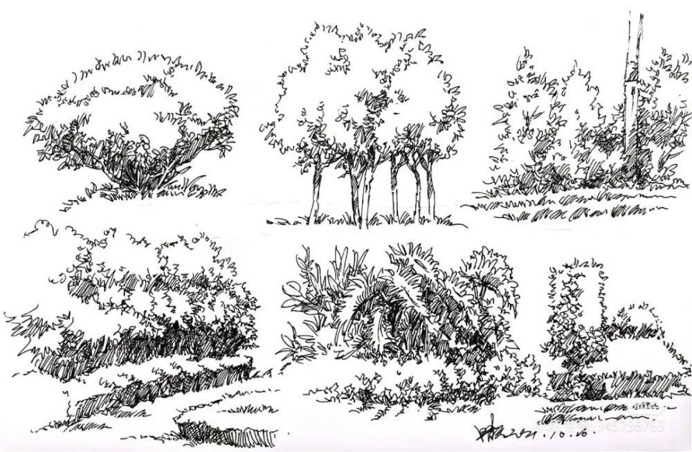 一棵树,几棵树,一排树,一些灌木要怎么画?