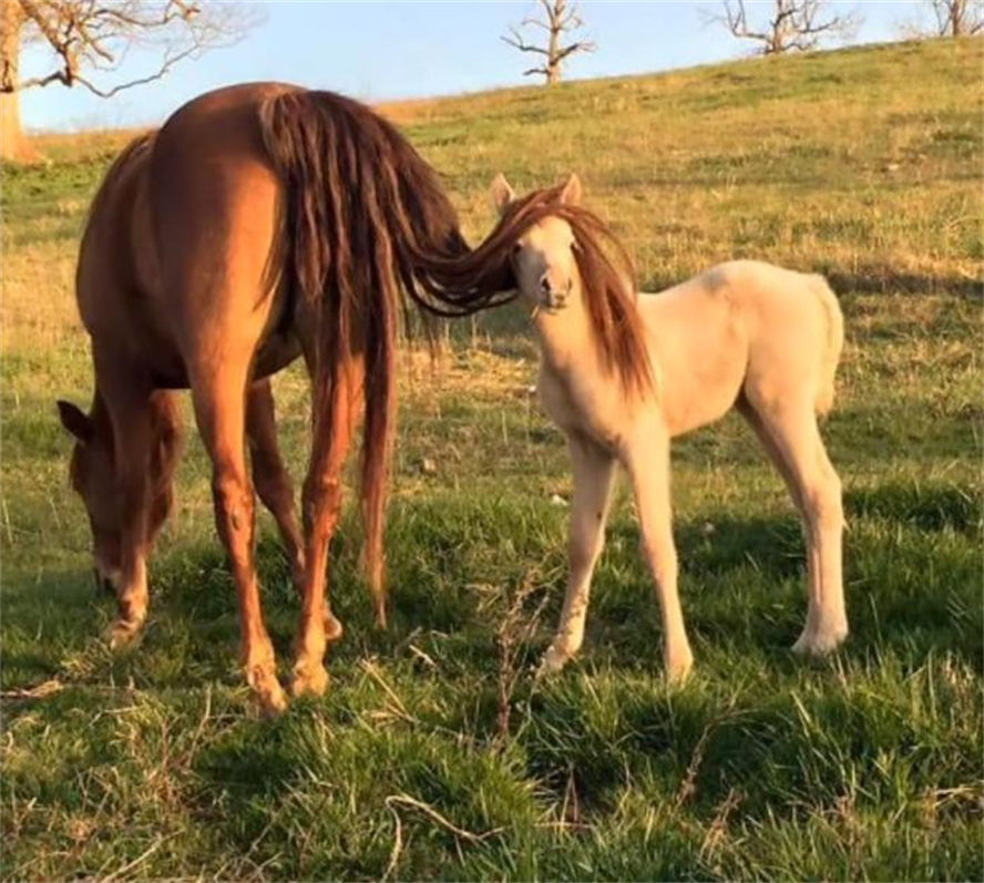 33张不可思议的巧合照片不是ps却胜过ps