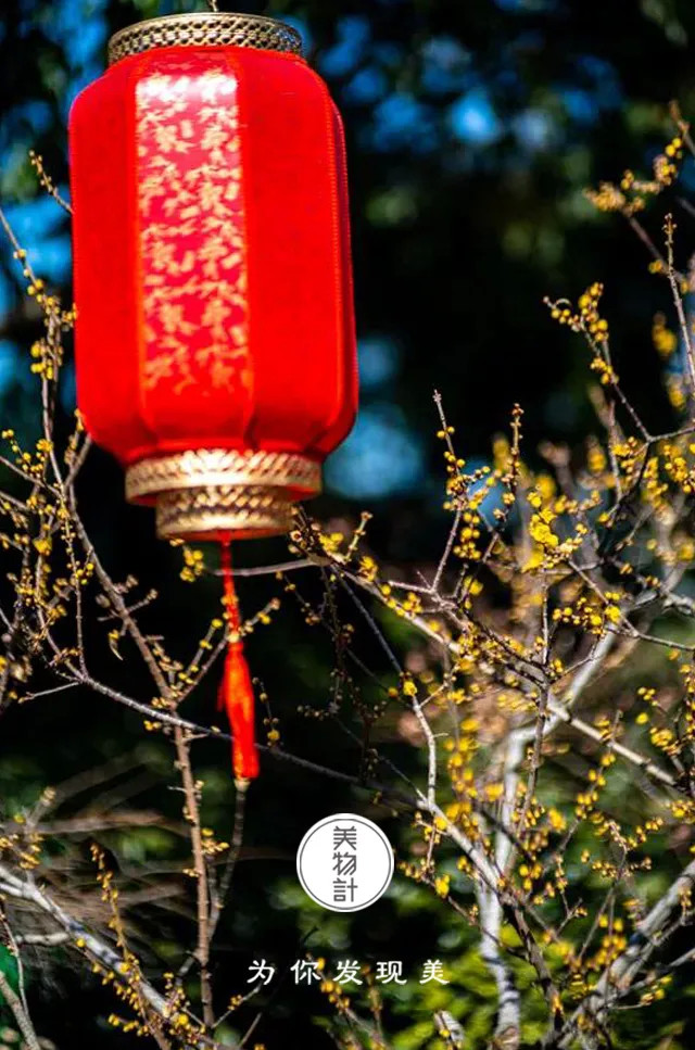 腊月里的中国味