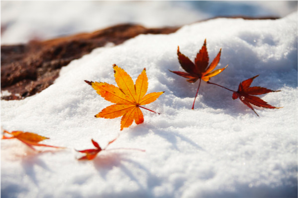 迷惑了1月全国气温高于往年冷冬变暖冬专家春运或大降温