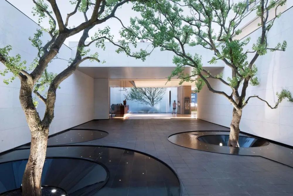 树池应该怎么玩