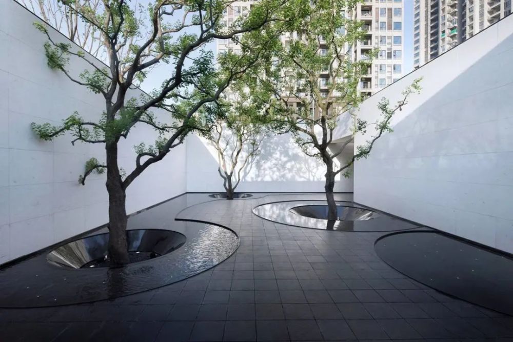 树池应该怎么玩