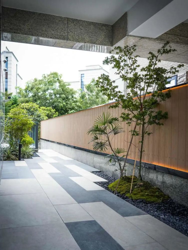 树池应该怎么玩