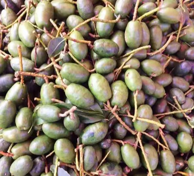 云果景东山间野果带你抖擞一冬