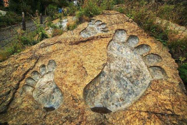 世界未解之谜之大脚怪