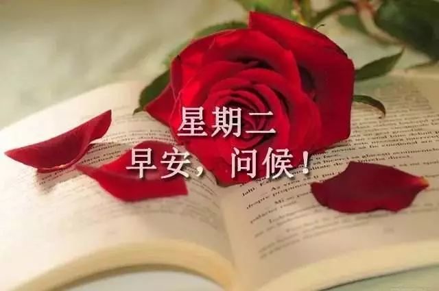 1月4日周二早安努力把生活过得五颜六色