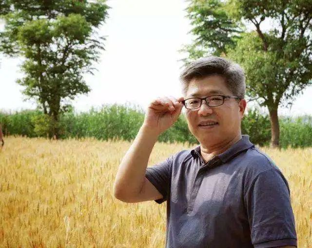 重磅推出王春林一个人的2021年中国小说排行榜