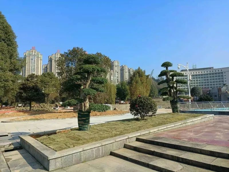 桃江金盆广场新妆开放_腾讯新闻