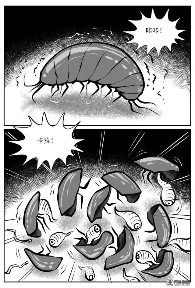 人性暗黑漫画《寄生虫》,地球上的新物种!_腾讯新闻